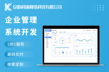 企业管理系统开发